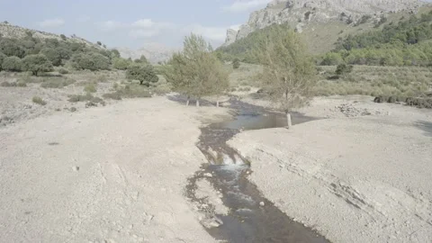 Embassament de Cúber Great biding site in the Serra de Tramuntana , Mallorca Stock Footage 142877455