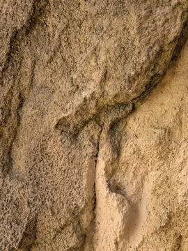 Embedded footprints in sandy beach area, calm natural scene, close-up view,.. Stock Photos