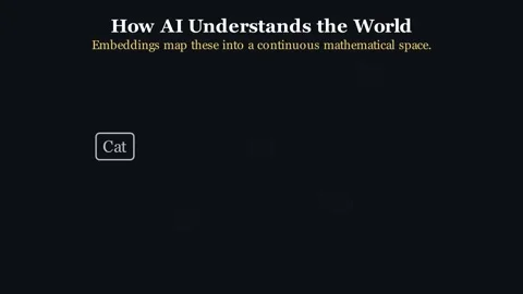 Embeddings Explained - How AI understands the world Stock-Footage 338225093