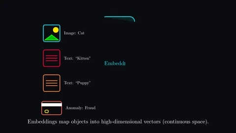 Embeddings map objects into high dimensional vectors 動画素材 338167224
