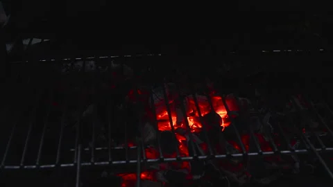 Ember on a grill. Stock Footage 276227755
