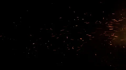 Ember Sparks at Night from Fire 動画素材 103651348