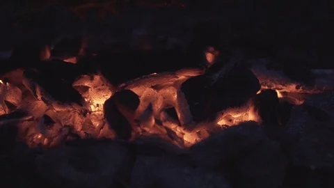 Ember from under the fire. Stock Footage 116673907