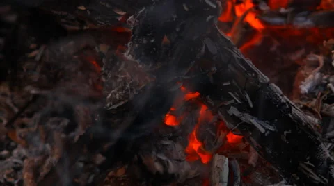 Embers after a fire Video stock 50016636