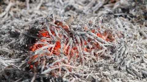 Embers and ashes Stock Footage 49941862