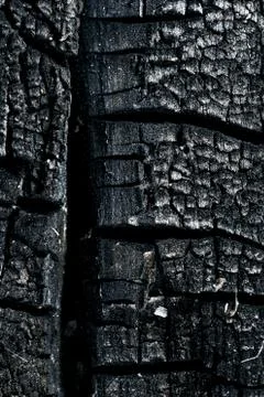 Embers and ashes. Stock Photos