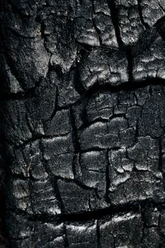 Embers and ashes. Stock Photos