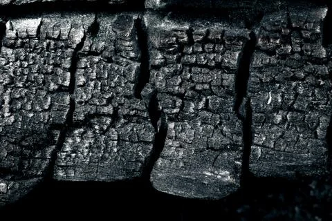 Embers and ashes. Stock Photos