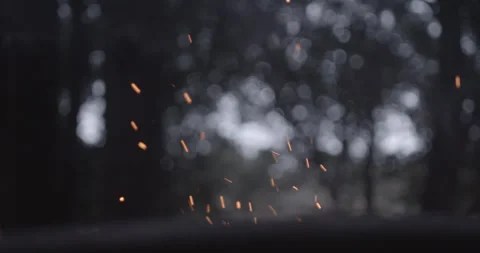Embers Of A Campfire In The Forest Stock Footage 302764588