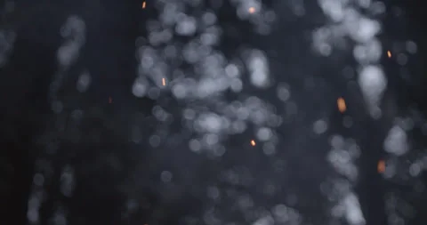 Embers Of A Campfire In The Forest Stock Footage 302838330