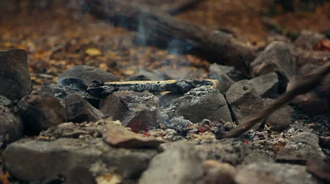 Embers of the fire. Stock Footage 24612570