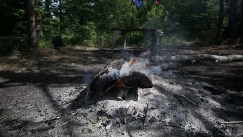 Embers from the fire in nature Video stock 112621040