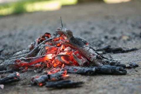 Embers of a fire on Pavement Stock Photos