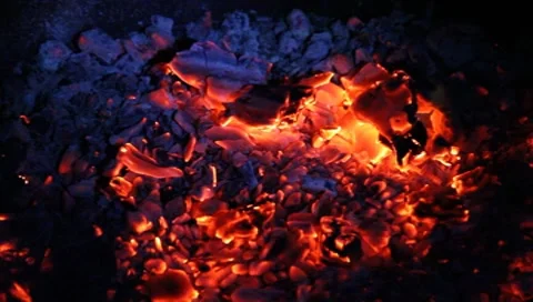 Embers Vídeos de archivo 8766411