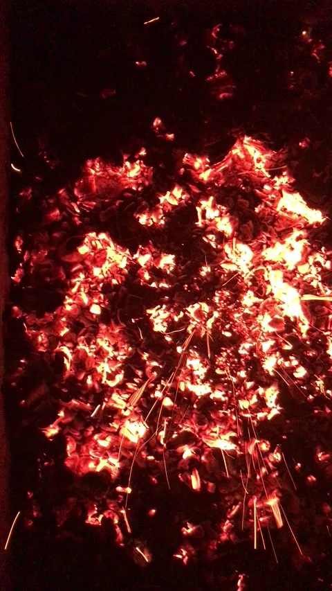 Embers Stock Footage 220474942
