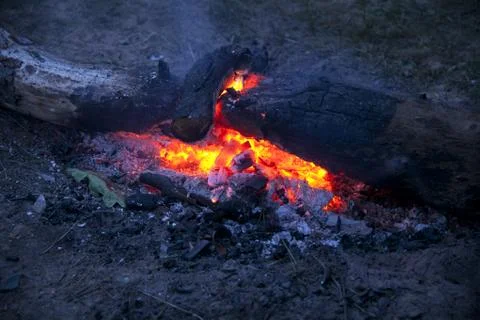 Embers Stock-Fotos
