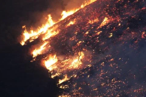 Embers From a Wildfire Stock Photos