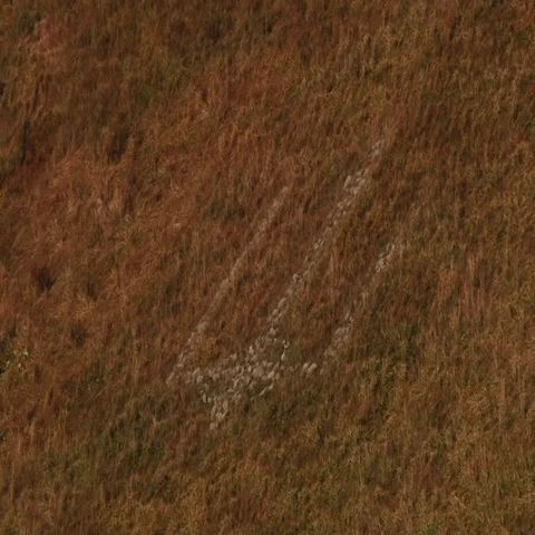 Emblem of Ukraine lined with stone Stock Footage 69519780