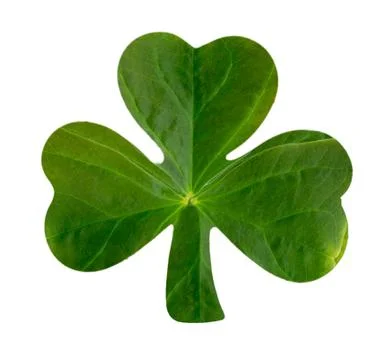 Emblematic Shamrock Stock Photos