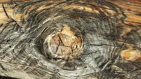 Embossed creative old wood texture Stock Photos