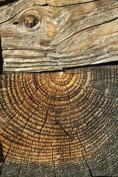 Embossed creative old wood texture Stock Photos
