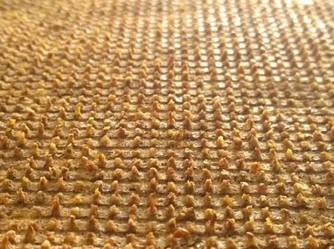 Embossed texture of orange tones Stock Photos