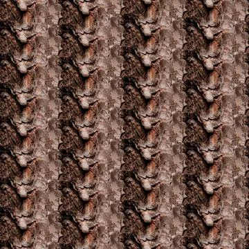 Embossed texture pattern of bark of brown-gray pine coniferous tree. Foto stock