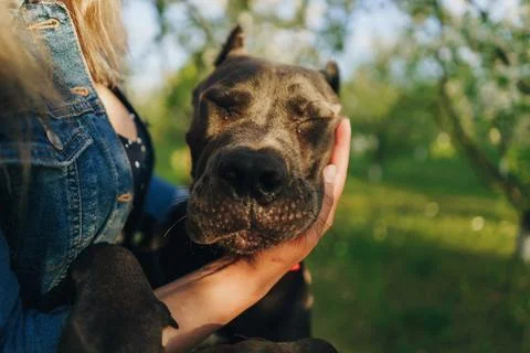 Embracing Joy Foto stock