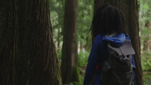 Embracing nature in the evergreen forest while touching majestic trees Stock Footage 312470333