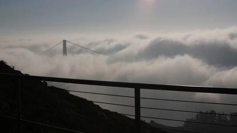 Embracing The World Stock Footage 97699782