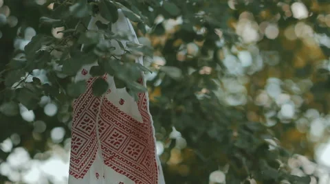 Embroidered towels hanging on a tree branch Stock Footage 67987753