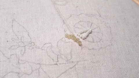 .The embroiderer at work. Demonstration of embroidery techniques Stock Footage 146266785