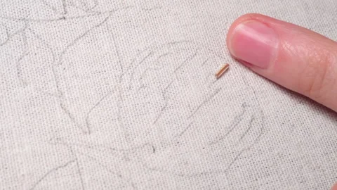 .The embroiderer at work. Demonstration of embroidery techniques Stock Footage 146266973