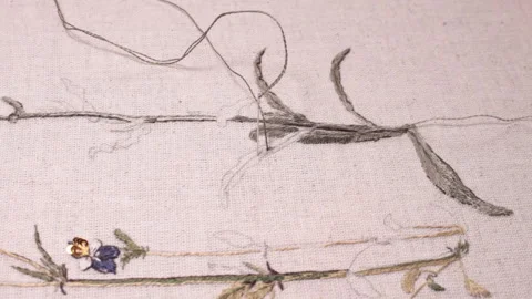 .The embroiderer at work. Demonstration of embroidery techniques Stock Footage 146268810