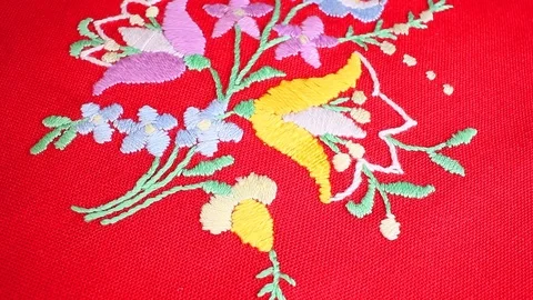 Embroidery looping texture pattern closeup video Video stock 99015989