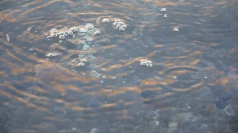 Embros thermal baths on Kos Stock Footage 265658165