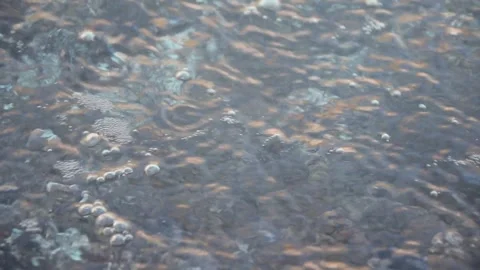 Embros thermal baths on Kos Stock Footage 265658167