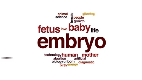 Embryo animated word cloud, text design animation. Stock Footage 72669016