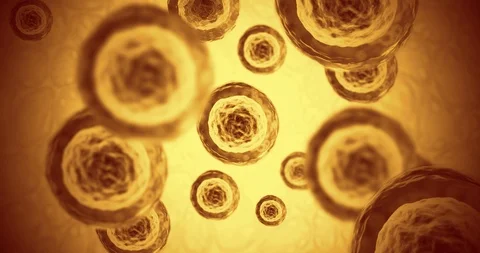 Embryo cells starting to form during pregnancy Vidéo 100612222