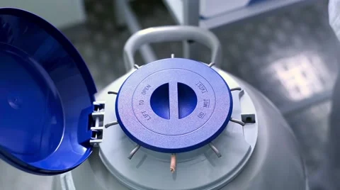 Embryo Cryopreservation InVitro Vidéo 62764463