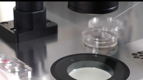 Embryo cryopreservation, Laboratory manipulation of embryologist with paillette Stock Footage 138649943