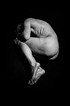 Embryo. Stock Photos