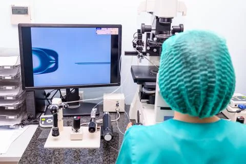 Embryologist adding sperm to egg in laboratory of reproductive clinic. Select Foto stock