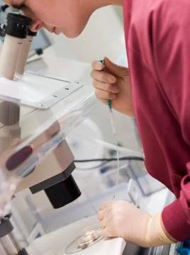 Embryologist adding sperm to egg Stock Photos