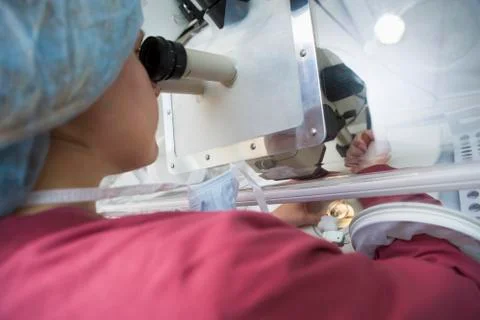 Embryologist adding sperm to egg Stock Photos