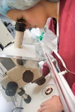 Embryologist adding sperm to egg Stock Photos