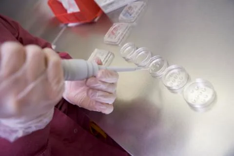 Embryologist adding sperm to egg Stock Photos