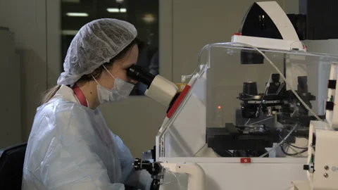 The embryologist establishes the biomaterial in the microscope Видео 97470783