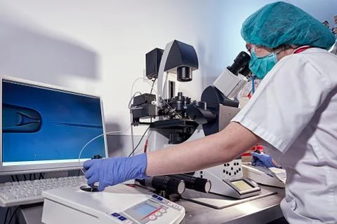 Embryologist looking through a microscope and adding sperm to egg in laborato Stock Photos