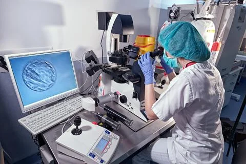 Embryologist looking through a microscope and adding sperm to egg in laborato Stock Photos